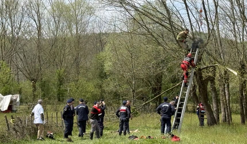 Olay, saat 11.00 sıralarında merkeze bağlı Kabagöz köyünde meydana geldi. Köyde yaşayan emekli çiftçi Hasan Erdoğan, oğlu Gürhan ile birlikte tarlasındaki çınar ağacını budamaya gitti. 