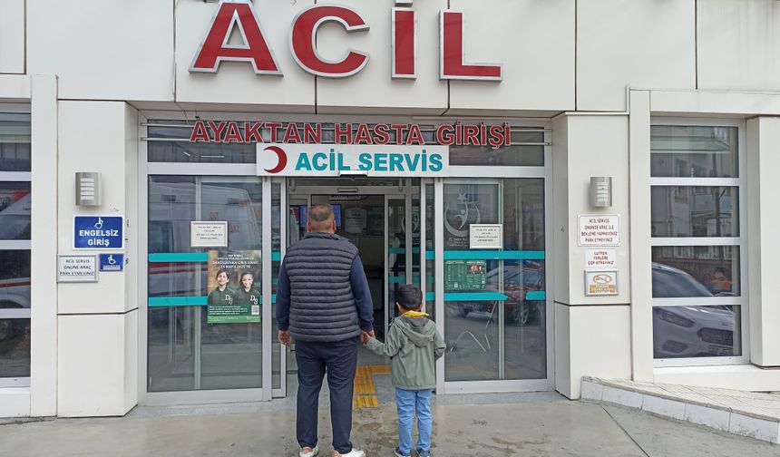 Başıboş köpeklerin saldırısına uğrayan Baturalp, yaralandı