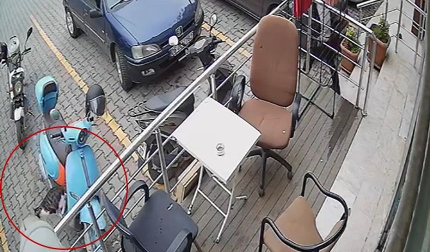 Güvenlik kamerası gerçeği ortaya çıkardı