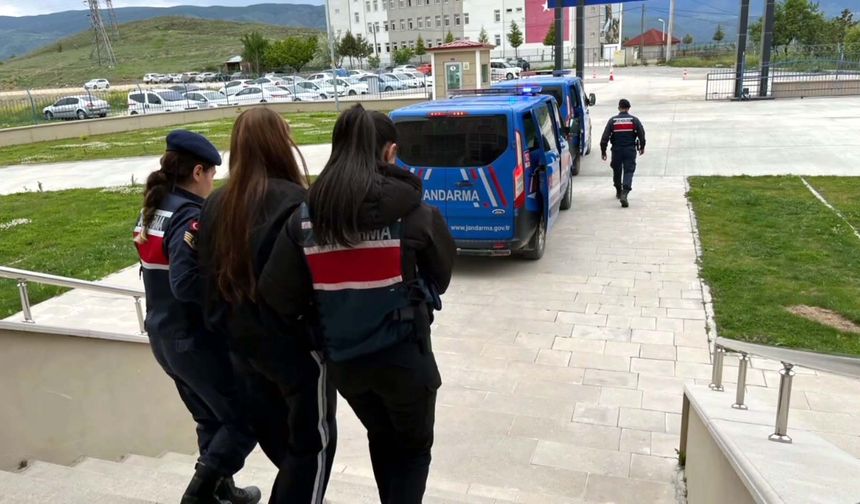Sahte araç kiralama siteleriyle 160 milyon TL dolandırıcılık