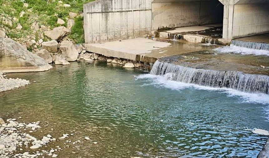 Bartın’da serinlemek için ırmağa giren Ensar boğuldu