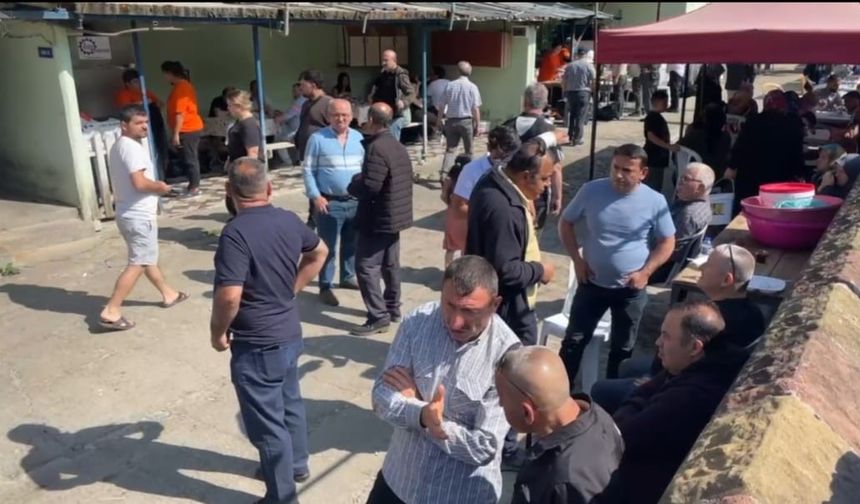 Bartın'da ilgi odağı 930 kiloluk tosun