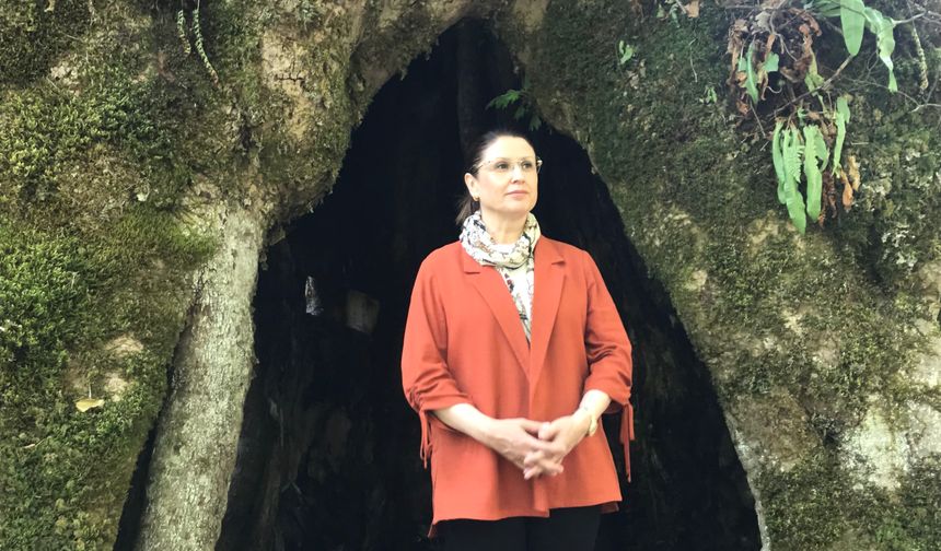 Tesadüfen bulundu, tam 500 yaşında
