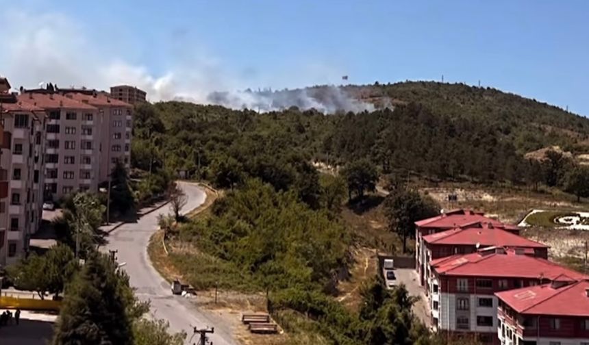 Aladağ’da Yangın