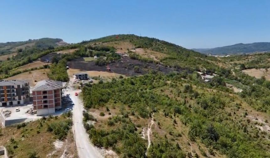 Aladağ tepesinde anız yangını ormana sıçradı
