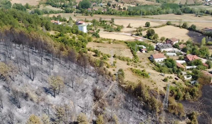 Orman yangını atlatan köyde tarihi eser heyecanı
