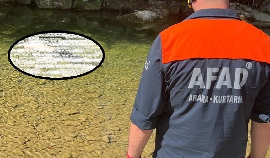 Kayıp Alzheimer hastası, dere kenarında ölü bulundu