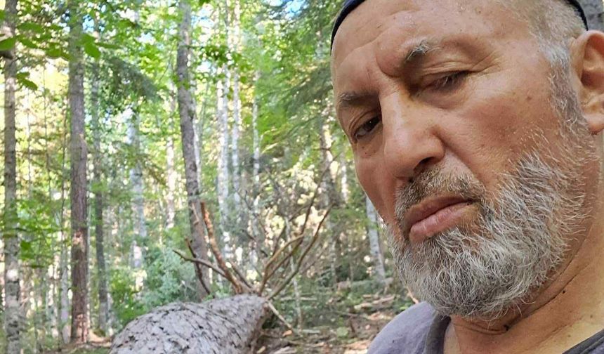 Ayağına tomruk düştü, ambulansta kalp krizi geçirip öldü