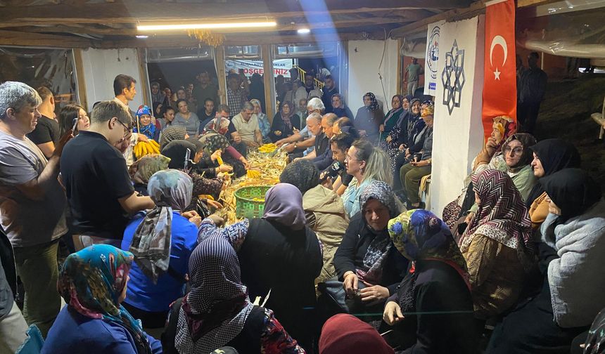 Bartın'da 2 asırlık gelenek; 3 saat topluca mısır soydular