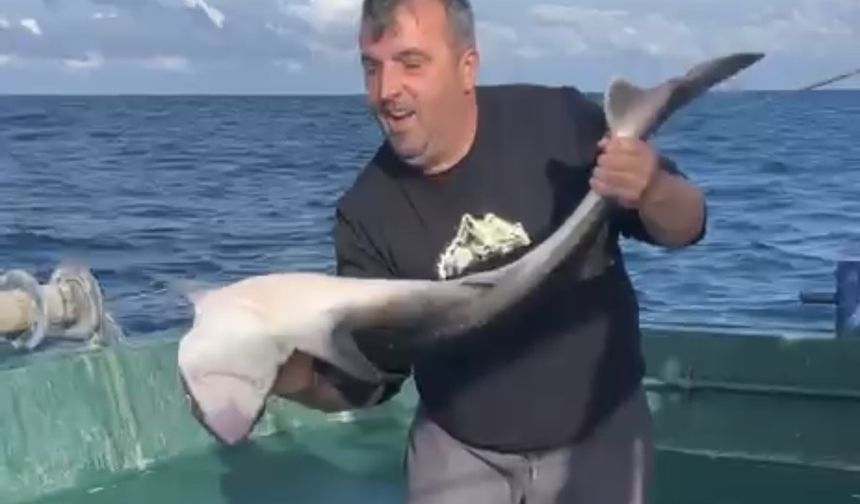 Bartın açıklarında balıkçıların ağına köpek balığı takıldı