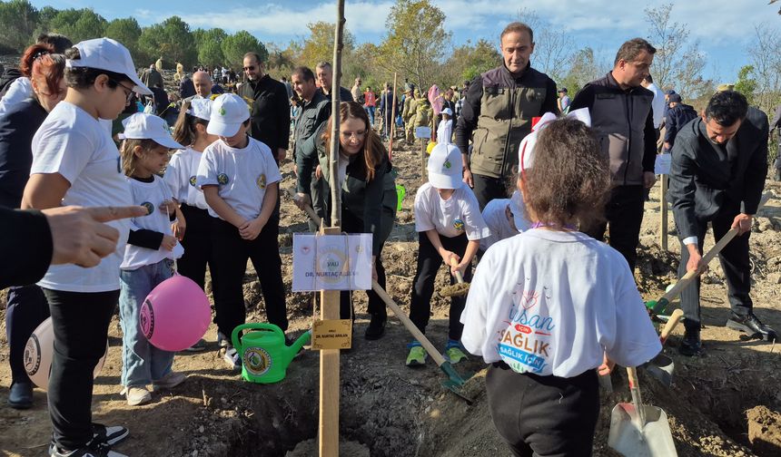 11.11 Milli Ağaçlandırma Gününde 3500 adet fidan dikildi