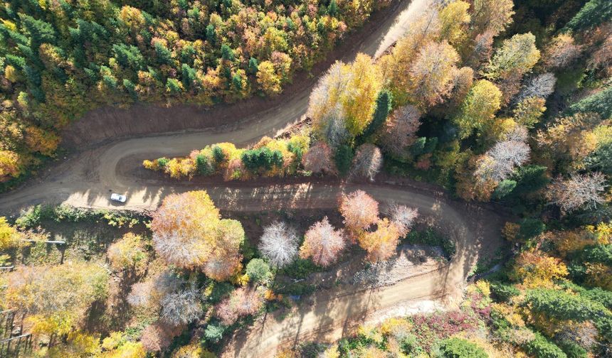 Bartın yaylalarında sonbahar güzelliği