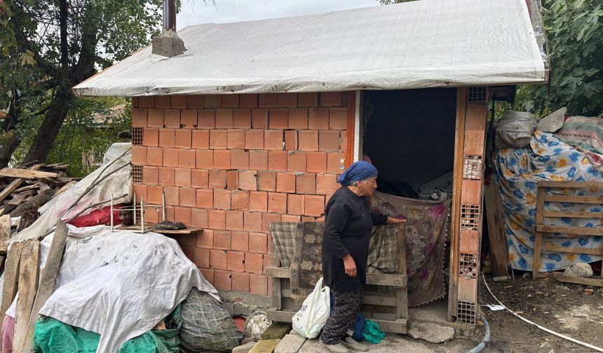 Meliha Teyze’nin Barakada Geçen Yaşam Mücadelesi