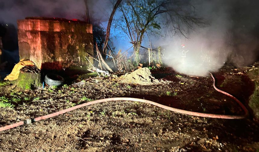 Bartın'da yıldırım düştü: 2 araç yandı