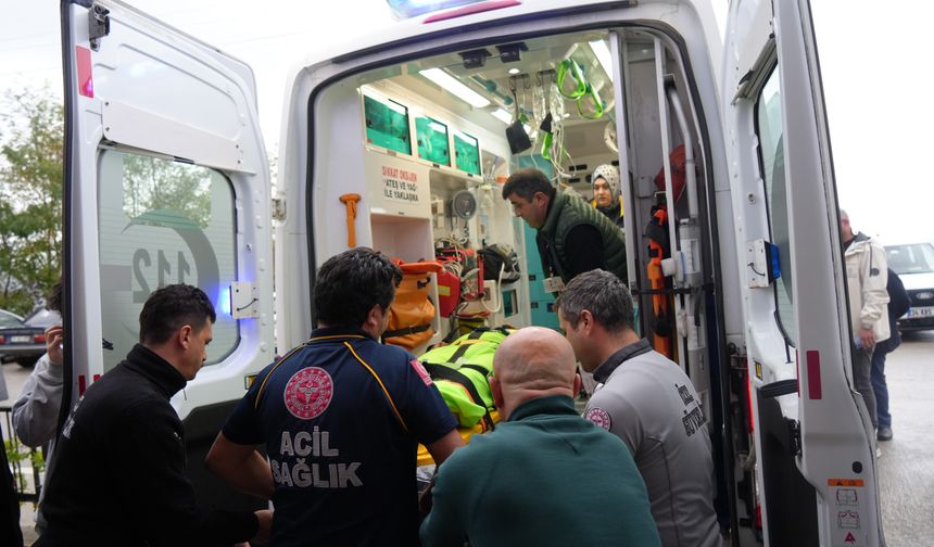 Ormanda ayının saldırısına uğrayan imam yaralandı