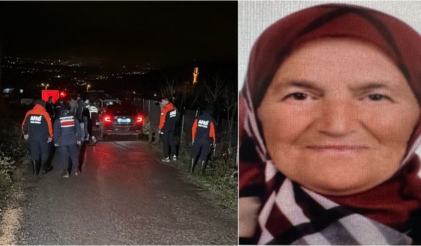 Ormanda defne yaprağı toplarken kaybolan kadın aranıyor