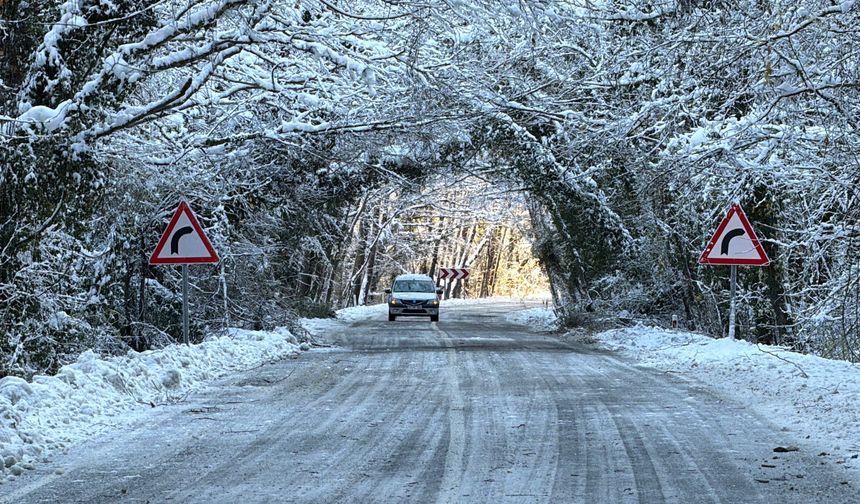 Ağaç Tünel Yol Kış Güzelliğiyle Büyülüyor