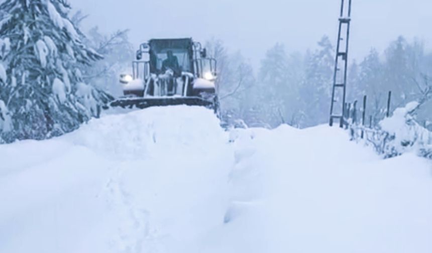 Bartın'da kar yağışı; 44 köy yolu ulaşıma kapandı