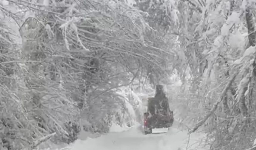 Bartın’da Çığ Tehlikesi Uyarısı