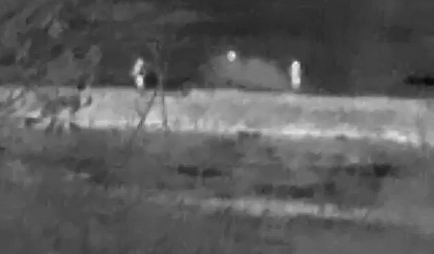 Kaçak avcılar dron kameralarına yakalandı
