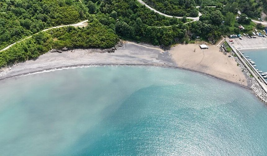 Termikçi Şirket Hakkında Çevreyi Kasten Kirletme Davası