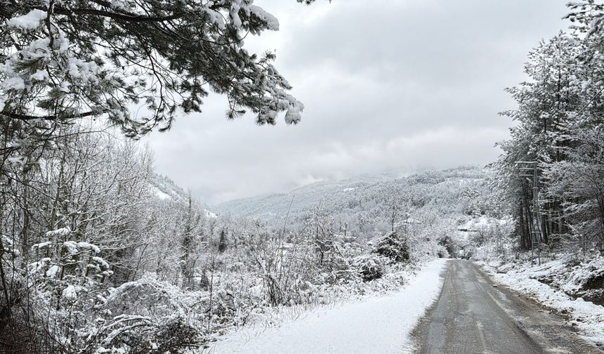 43 köy yolu ulaşıma kapandı, 10 köye elektrik verilemiyor