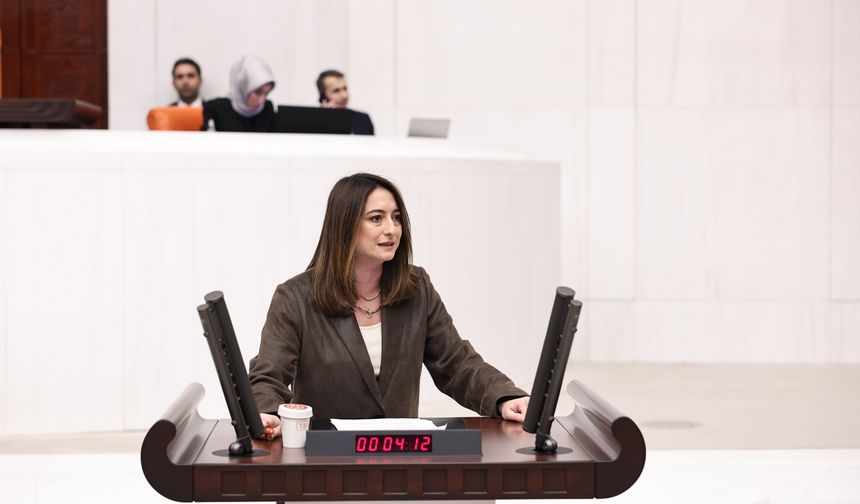 Kumluca’daki Orman Emekçilerinin Tepkisi Meclis’e Taşındı