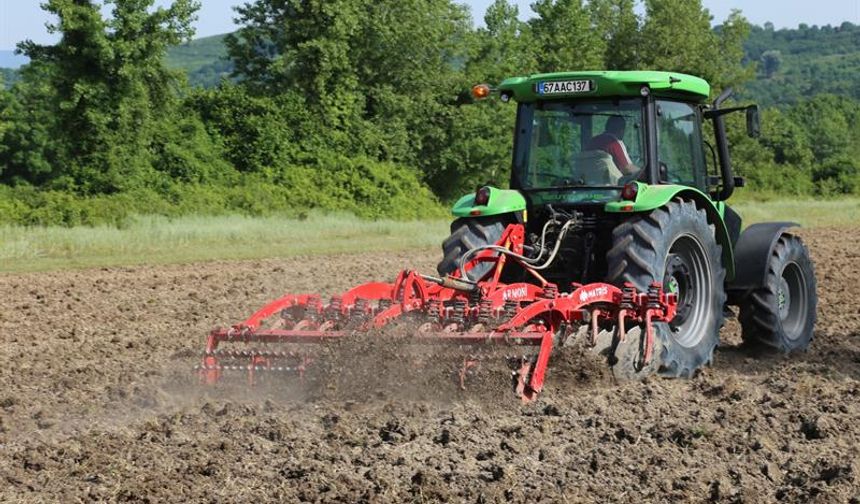 Bartın’da Kenevir 7 Yıldır Ekiliyor, izin ve denetim sürüyor