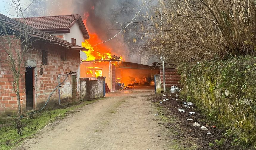 Bartın'da tek katlı ev yandı