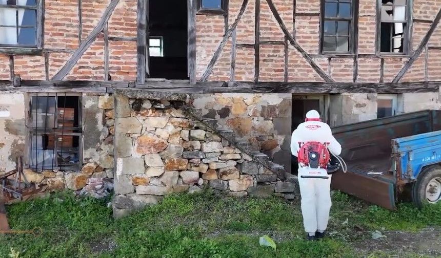 Bartın’da Kahverengi Kokarcaya Karşı Biyosidal Mücadele