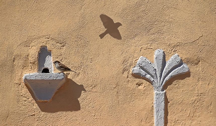 Bartın’ın Tarihi Hazinesi; Kuş Evleri
