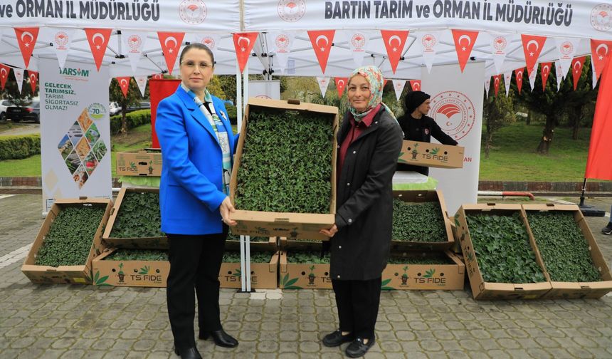 Bartın’da 575 Çiftçiye Fide ve Tohum Desteği