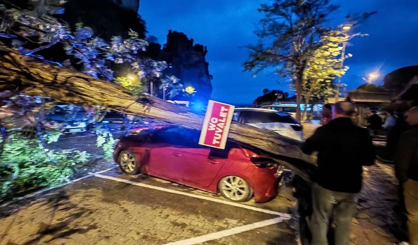 Şiddetli fırtına; ağaçlar devrildi, araçlar zarar gördü