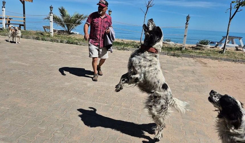Bartın’da Dronların Korkulu Rüyası Köpekler
