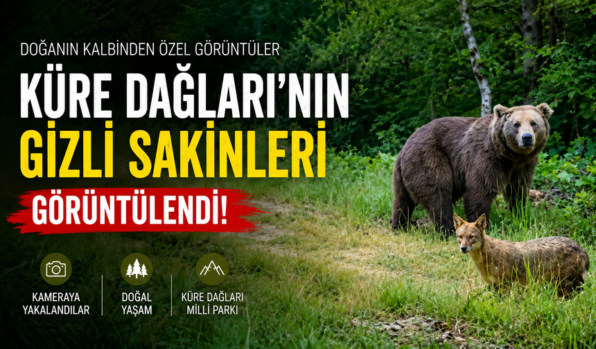 Küre Dağları’nın Gizli Sakinleri Görüntülendi