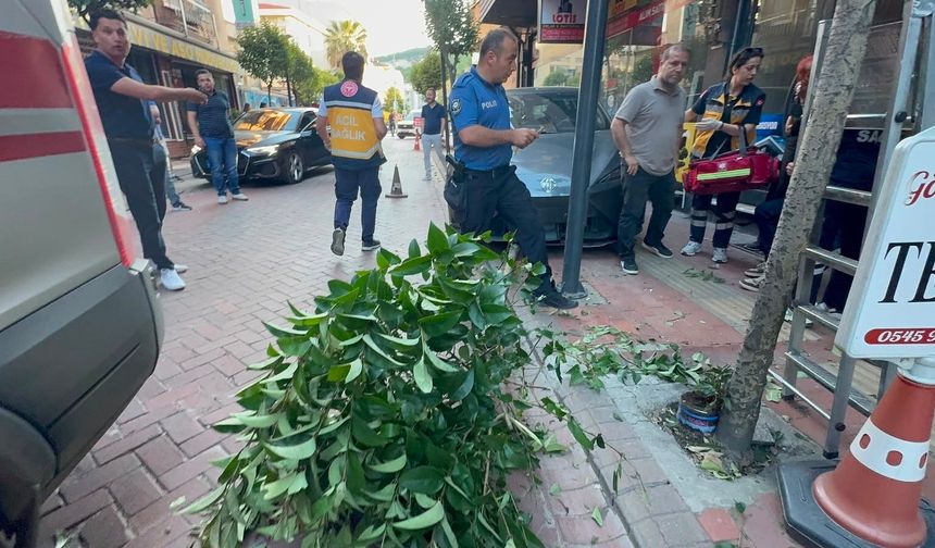 Fren yerine gaza bastı: İki ağacı devirip, duvara çarptı