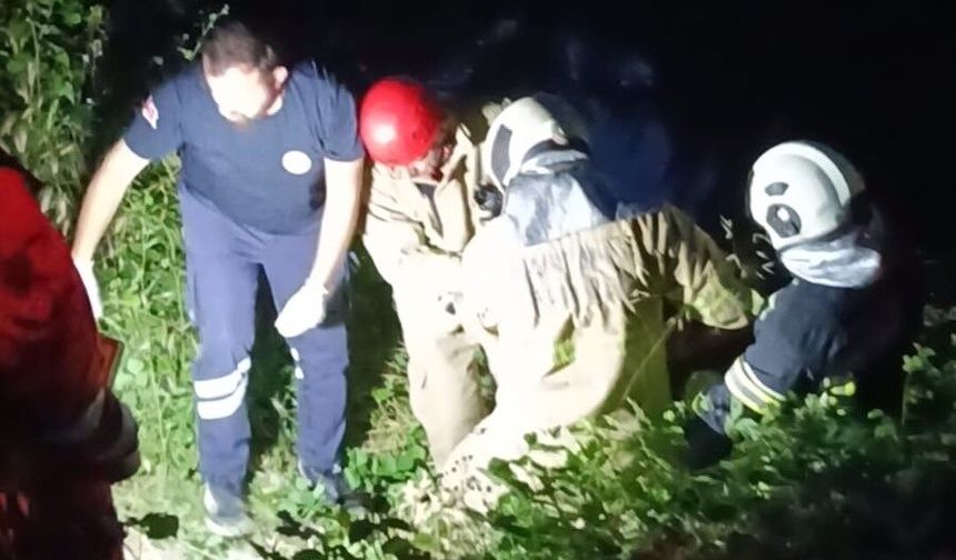 Tuvalet ihtiyacını gidermek isterken ırmağa düştü