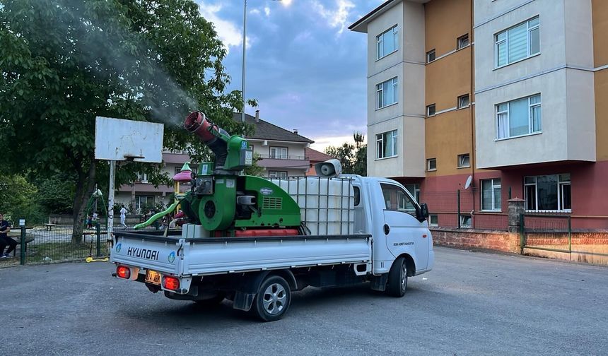 Uçkun ve Haşerelere Karşı İlaçlama Çalışmaları Başladı