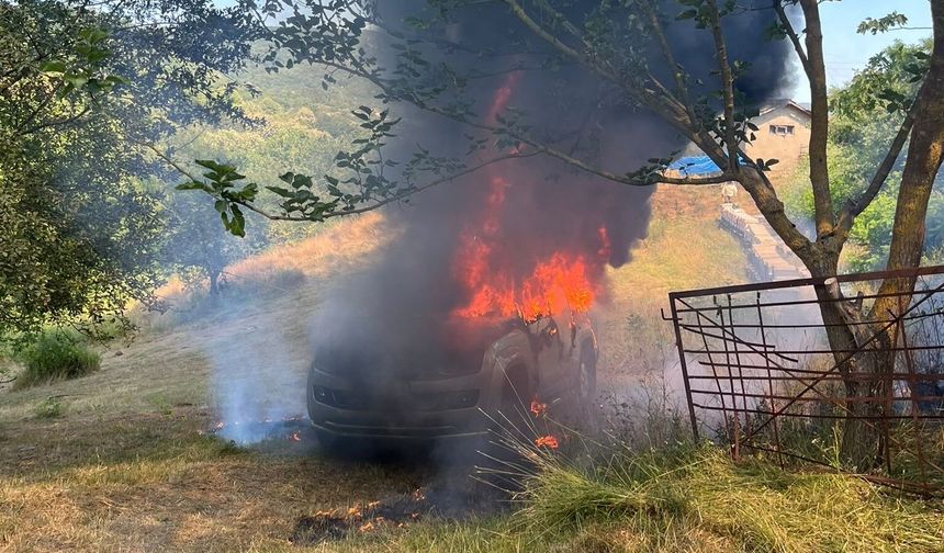 Bartın'da kamyonet alev alev yandı