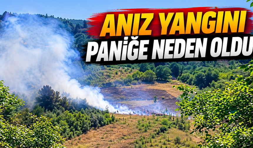 Anız Yangını Paniğe Neden Oldu