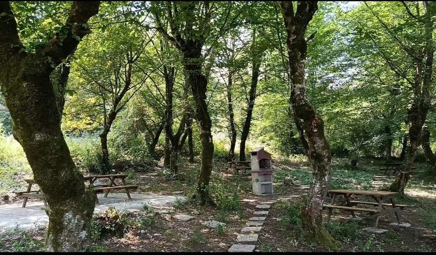 Bartın'da Akademisyenlere Özel Piknik Alanı