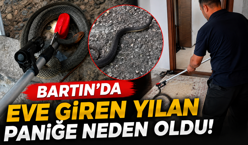 Bartın’da Eve Giren Yılan Paniğe Neden Oldu