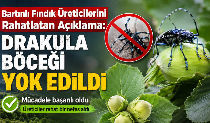 Fındık Üreticilerini Rahatlatan Açıklama: Drakula böceği yok
