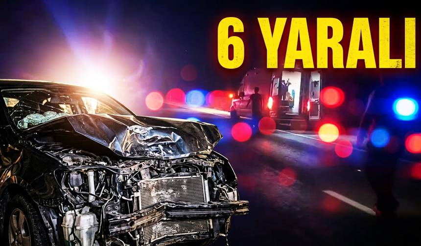 Yola çıkan inek zincirleme kazaya neden oldu: 6 yaralı