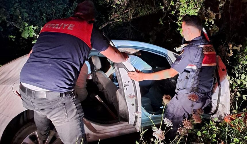 Kapısuyu’nda otomobil virajı alamadı: 1 yaralı