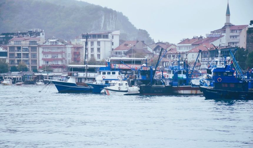 Bartın'da, boy sınırının altında balık avlayanlara şok ceza