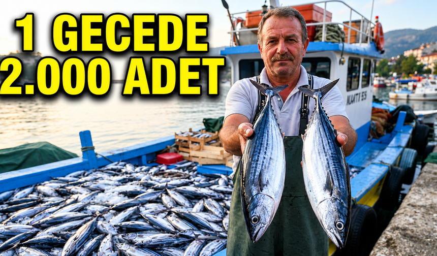 Amasra’da palamut bereketi: Bir gecede 2 bin palamut