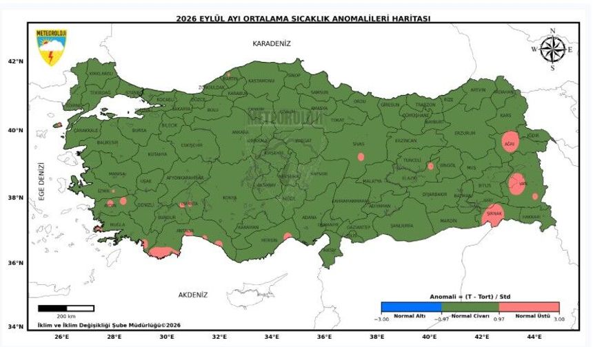 Bartın'dan Rekor Üstüne Rekor