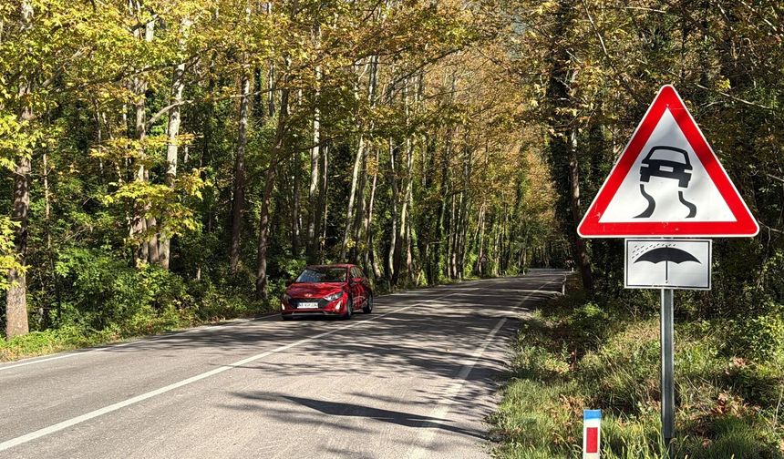 Bartın'da 9 Kilometrelik Ağaç Tüneli Büyük İlgi Görüyor